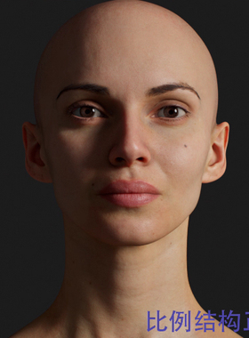 zbrush高精度扫描欧美女性头像模型预设人物扫描头部结构zb模型
