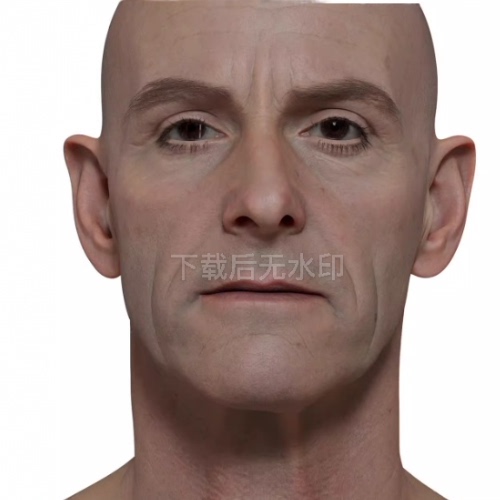 3DScan storeTen24写实高清扫描模型ZBrush男性头部HD Male 13
