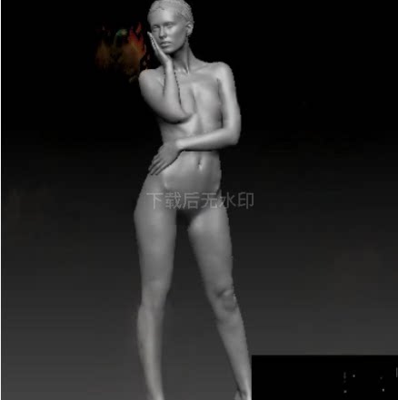 zbrush女性人体姿势雕刻级3D模型ZB 全身360度扫描高精度经典合集
