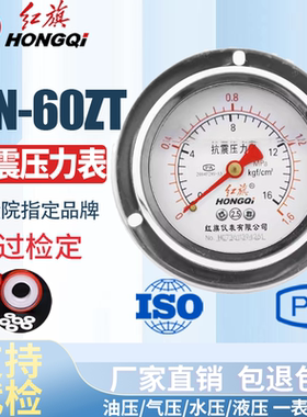红旗仪表 耐震抗震轴向带边压力表YTN-60ZT 0-1MPa充油压力表