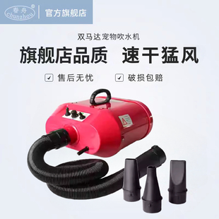 春舟双马达宠物吹水机猫狗大功率静音吹风机中大型犬宠物店吹毛机
