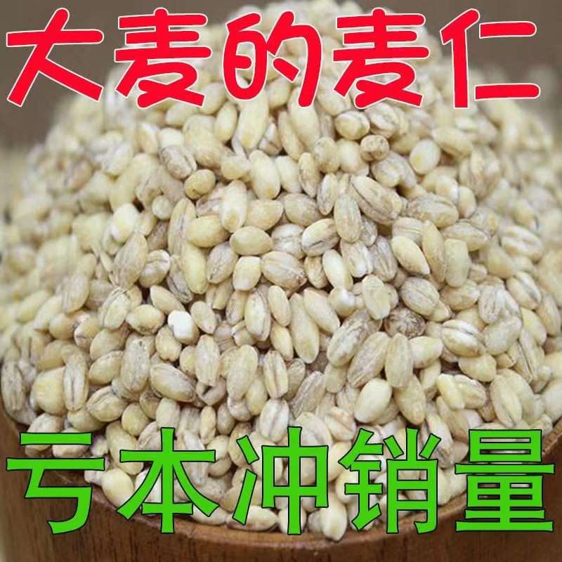 农家大麦仁优质脱壳大麦