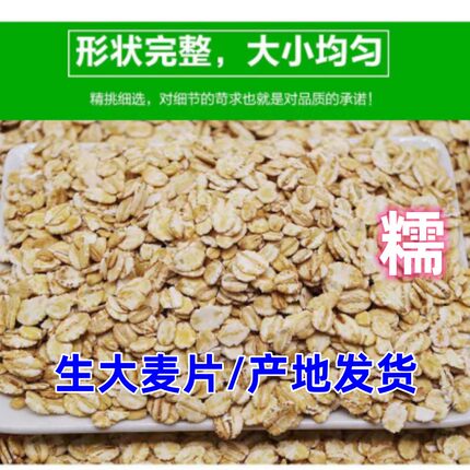 苏北生大麦片生早餐营养粗粮低糖0添加煮粥烧饭散装去皮新大麦片