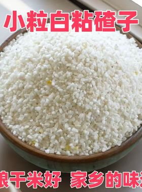 25年白糯玉米碴渣糁糖水颗粒去皮珍珠粘碴子早餐煮粥做年糕汤圆