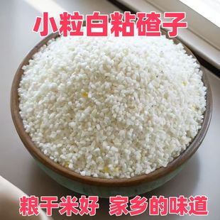25年白糯玉米碴渣糁糖水颗粒去皮珍珠粘碴子早餐煮粥做年糕汤圆