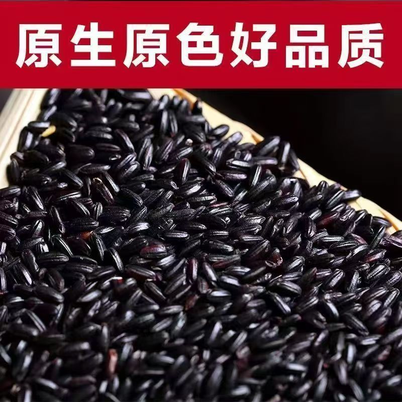 黑米批发直供农家黑米