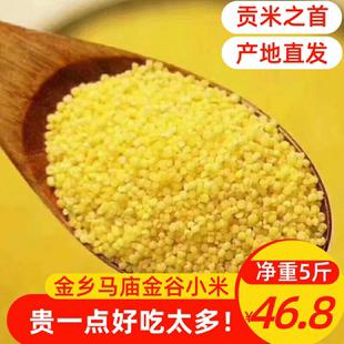 金谷小米山东马庙优质新黄小米农家自种食品粮食新鲜月子米脂米粥