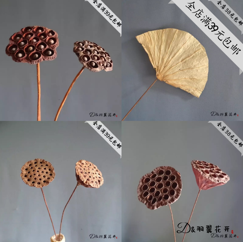 带籽小莲蓬/干莲蓬干花原生态真杆莲蓬摆设ins复古拍摄道具艺术造