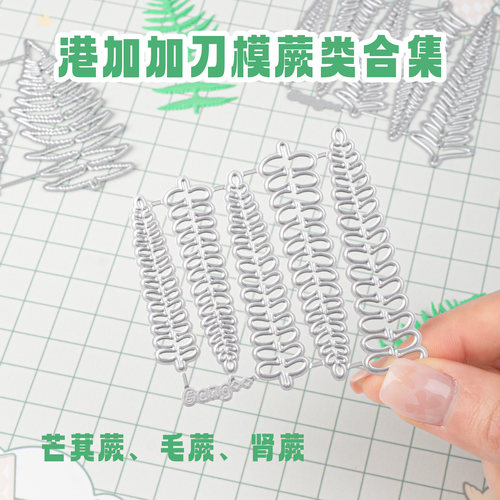 港加加港加加碳钢切模蕨类三件套