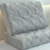 牛奶绒乳胶枕套40x60cm一对装 珊瑚绒30 50枕头套单个记忆枕内胆套