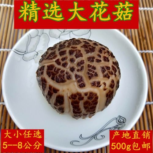 泌阳大花菇干货剪脚冬菇蘑菇