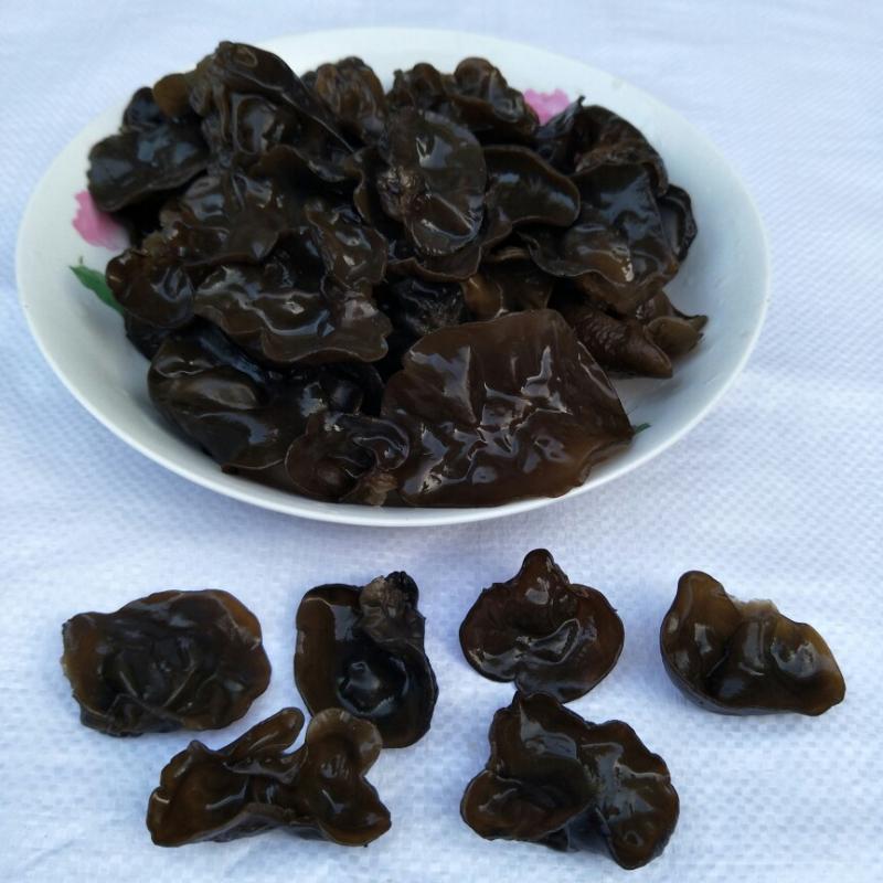 新黑木耳1斤500g农家干货免摘脆椴木秋木耳凉拌木耳香菇家用商用
