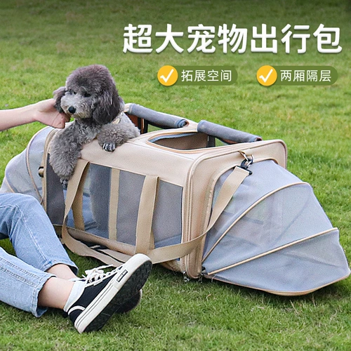 Портативная вместительная и большая коробка для выхода на улицу