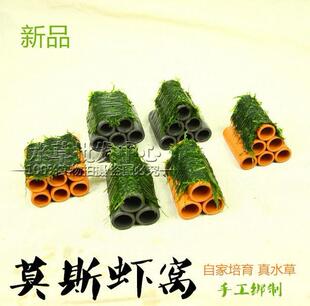 鱼缸虾罐莫斯定植好3孔虾屋摩丝斯虾窝造景陶罐鱼产卵躲避繁殖