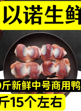 新鲜冷冻生鸭胗中号鸭胗20斤每袋15个左右新鲜鸭胗商用10斤食材