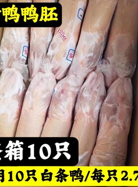 商用10只新鲜白条鸭一整箱批发冷冻直销瘦肉型烤鸭饭店食材商用