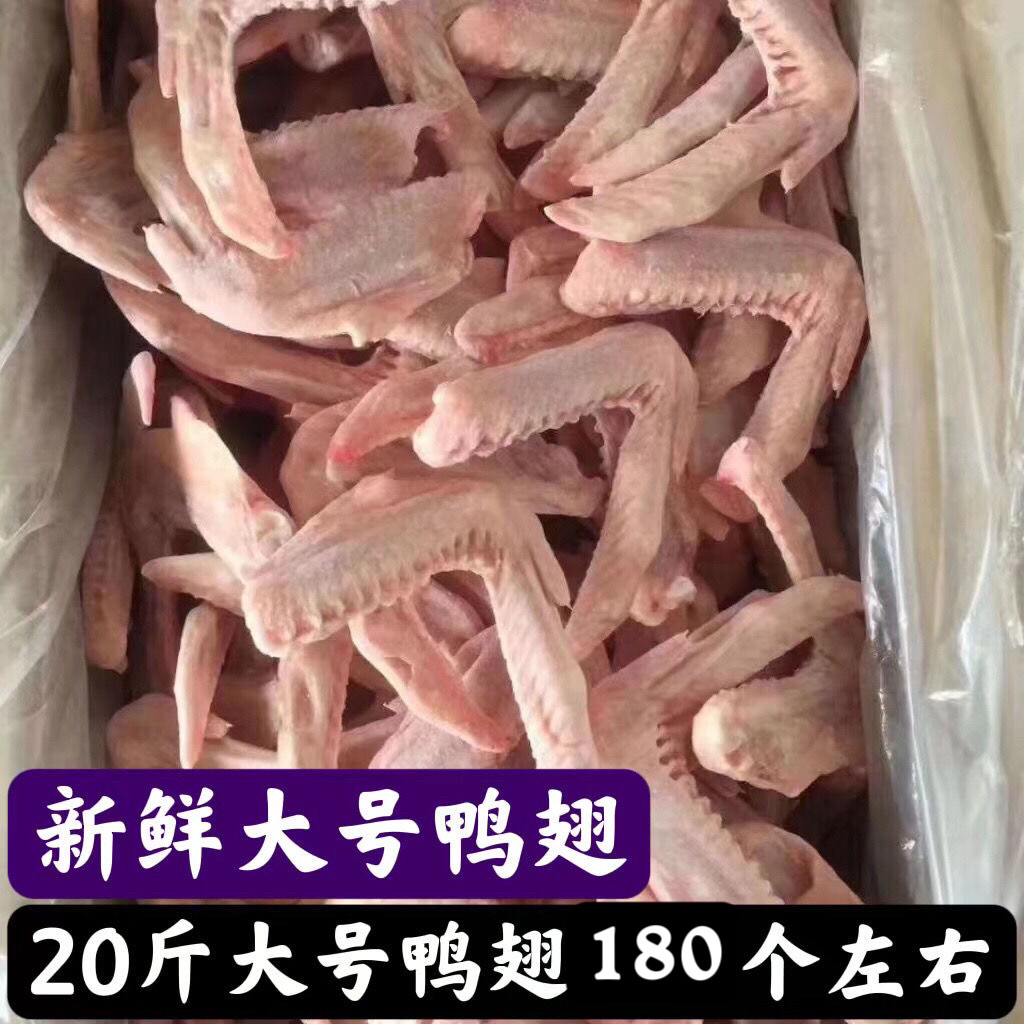 商用新鲜冷冻食材鸭翅二节翅鸭翅膀 20斤180个左右卤菜食材带些毛