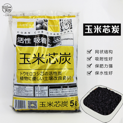 大颗粒种植玉露十二卷疏松土壤