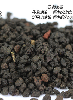 爱仙满园高品黑火山石又名富士砂兰花多肉透气排水铺面混土营养土