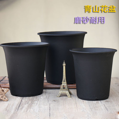 进口青山磨砂花盆树脂多肉植物盆栽景天老庄仙人球蝴蝶兰十二卷等 - 封面