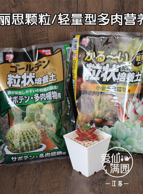 日本透气多肉植物爱丽思
