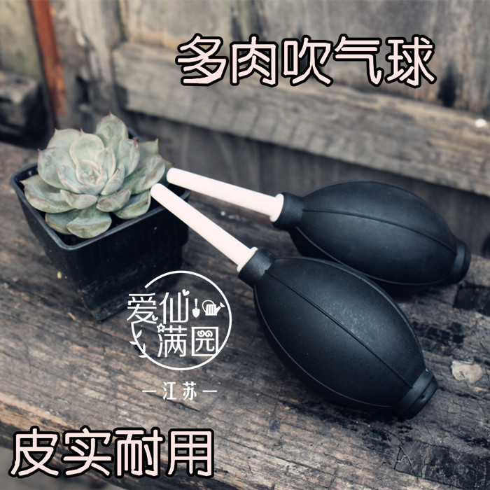 吹气球多肉植物清洁吹灰尘水珠用手感质量好气吹工具强力皮吹除尘