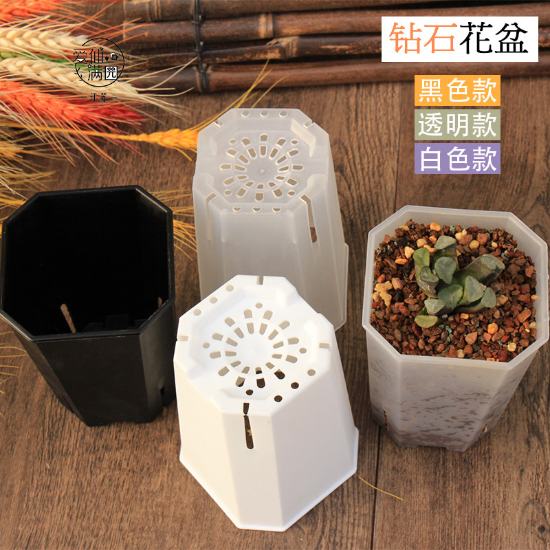 钻石八角方盆透明黑白花盆观察植物生长全新料多肉玉露十二卷盆