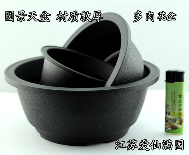 矮胖风群生拼盘多肉花盆