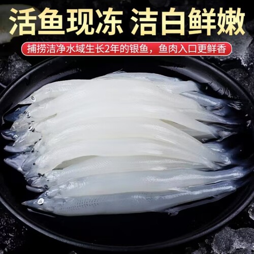 峡山湖高蛋白淡水银鱼自然生长野银鱼冷冻无骨面条鱼营养宝宝辅食