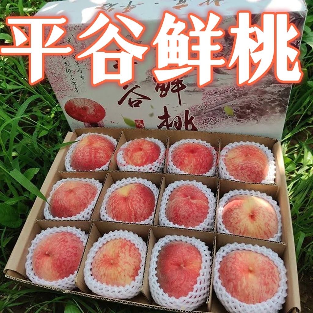 桃子正宗北京平谷大桃新鲜孕妇水果现摘果园直销老久保14号绿化九
