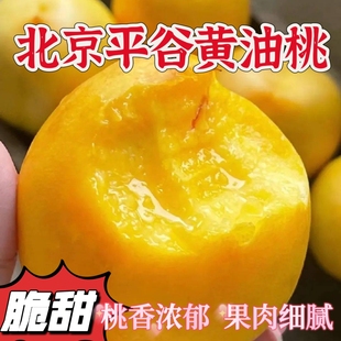 黄油桃北京平谷大桃澳油果园直销现摘现发脆甜多汁当季孕妇水果