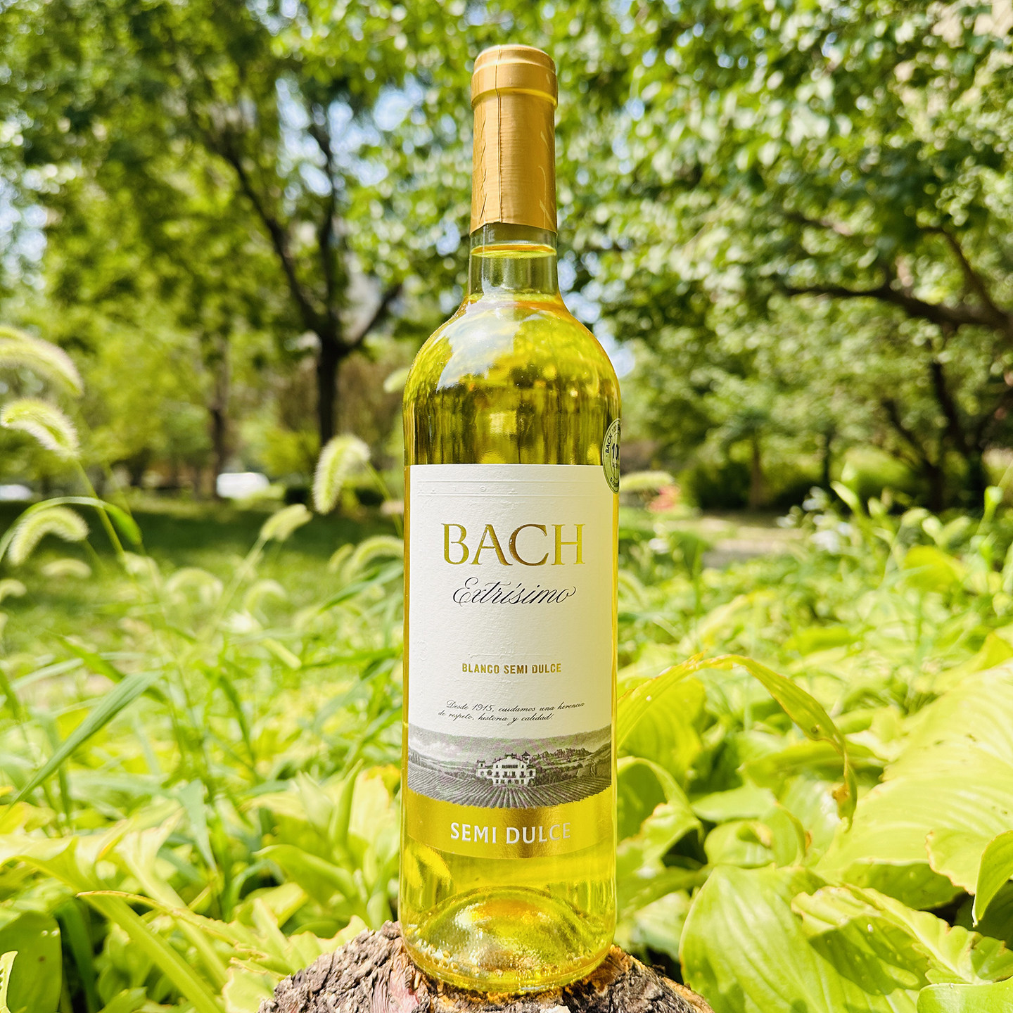 孤品清仓 意大利原瓶进口晚收甜白 贵腐 女士微醺晚安白葡萄酒,酒类,干红静态葡萄酒,淘宝优惠券,粉丝福利购,淘宝优惠卷