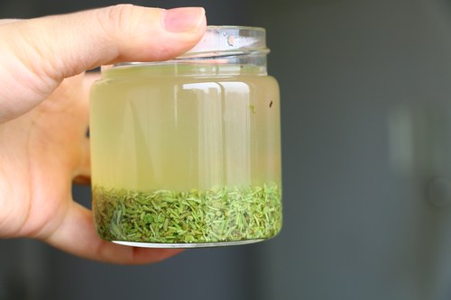 明前绿茶清香味500g包邮信阳毛尖