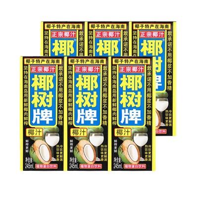 椰树牌椰汁245ml*6盒椰子汁植物蛋白椰奶纸盒包装年货饮料