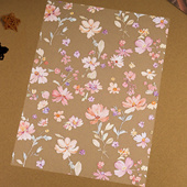 A4硫酸纸磨砂胶片分隔页可DIY手账配件 Ruila 霁色霞绯