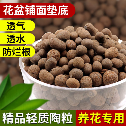 陶粒垫底碳球花卉盆栽卫生间回填
