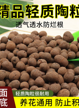 轻质陶粒植物垫底铺面种植通用