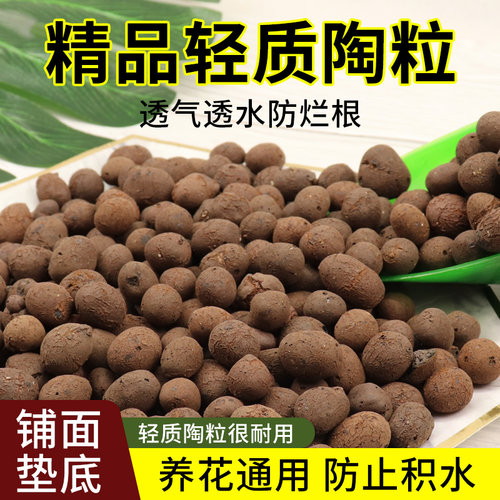 轻质陶粒植物垫底铺面种植通用