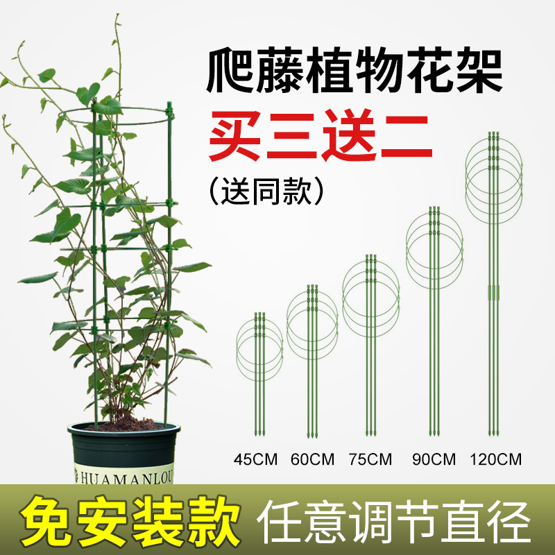 月季爬藤架铁线莲花架蔷薇阳台花盆支柱室内花卉蟹爪兰植物支撑杆