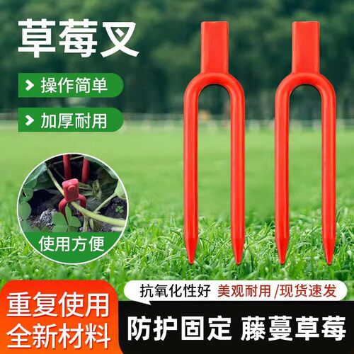 草莓压蔓器草莓育苗夹子压苗U型藤蔓定植器塑料固定叉草莓网套袋