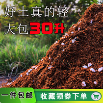 30升大包营养土家庭园艺肥料通用型多肉种花种菜绿萝土种植土花泥