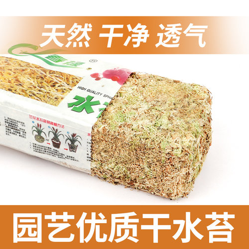 蝴蝶兰专用水苔兰花植料