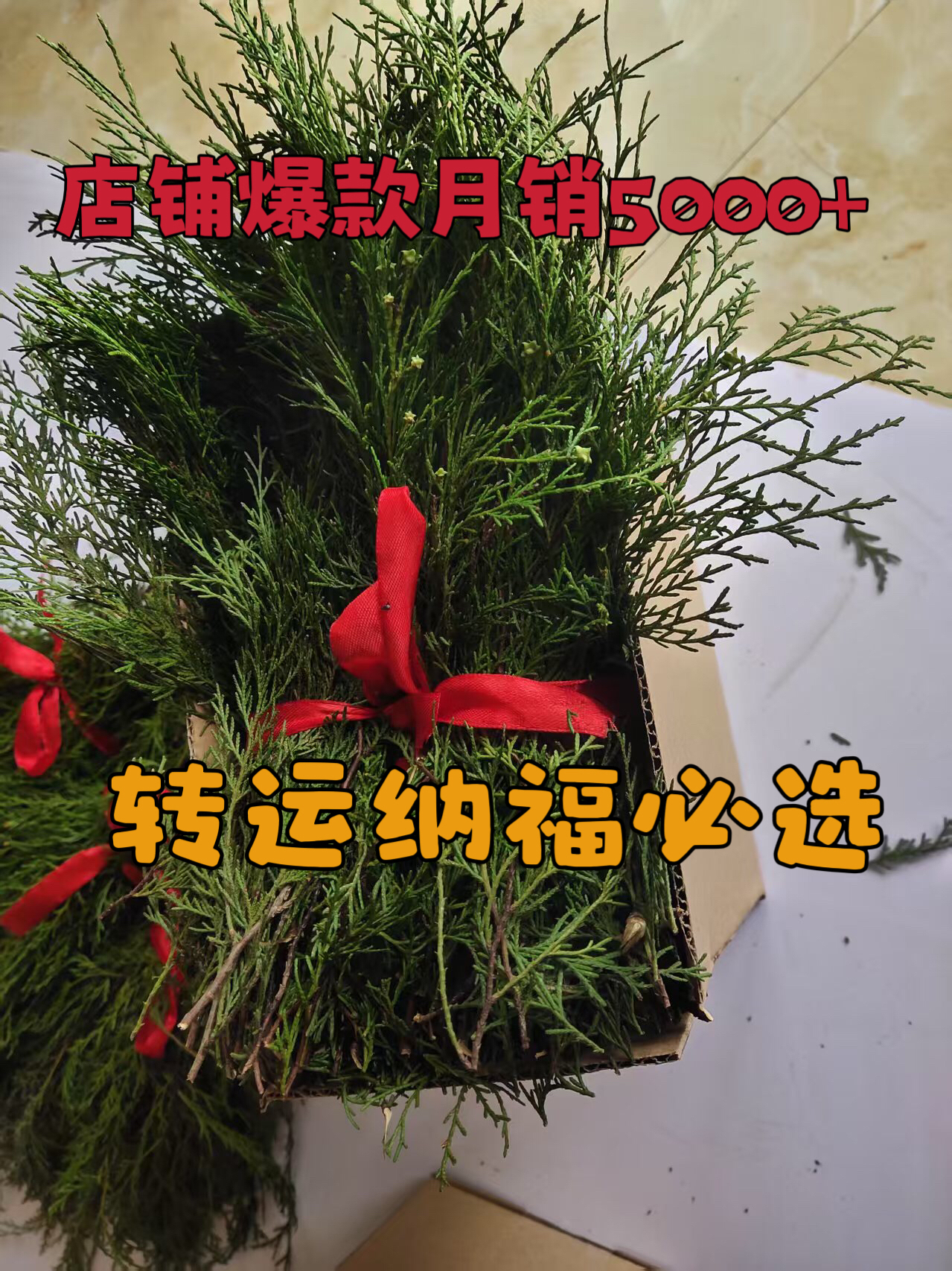 藏香侧柏叶天然香柏新鲜柏香枝香薰树枝净化火供浓香型藏香正品