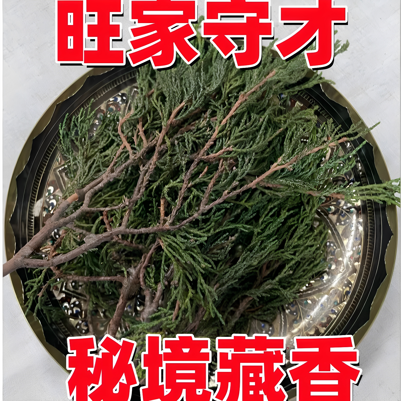 藏香侧柏叶天然香柏新鲜柏香枝香薰树枝净化火供浓香型藏香正品