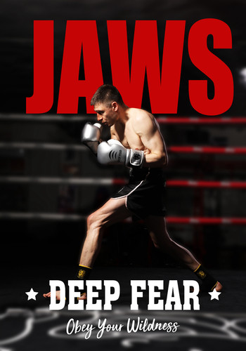 DF拳套斩马款 JAWS 成人款拳套拳击 泰拳 DFBGS2 DEEPFEAR