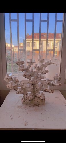 海缸造景 爪哇石造景 40缸50缸 60缸 可移动基座 免爆藻 枝条造景