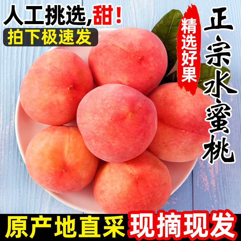 现摘新鲜桃子红美人水蜜桃10斤脆桃毛桃当季孕妇水果5斤
