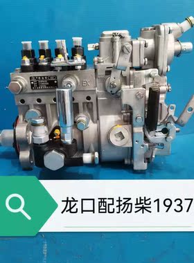 潍柴/扬柴4105带增压发动机130马力柴油泵燃油泵总成BH4PM105