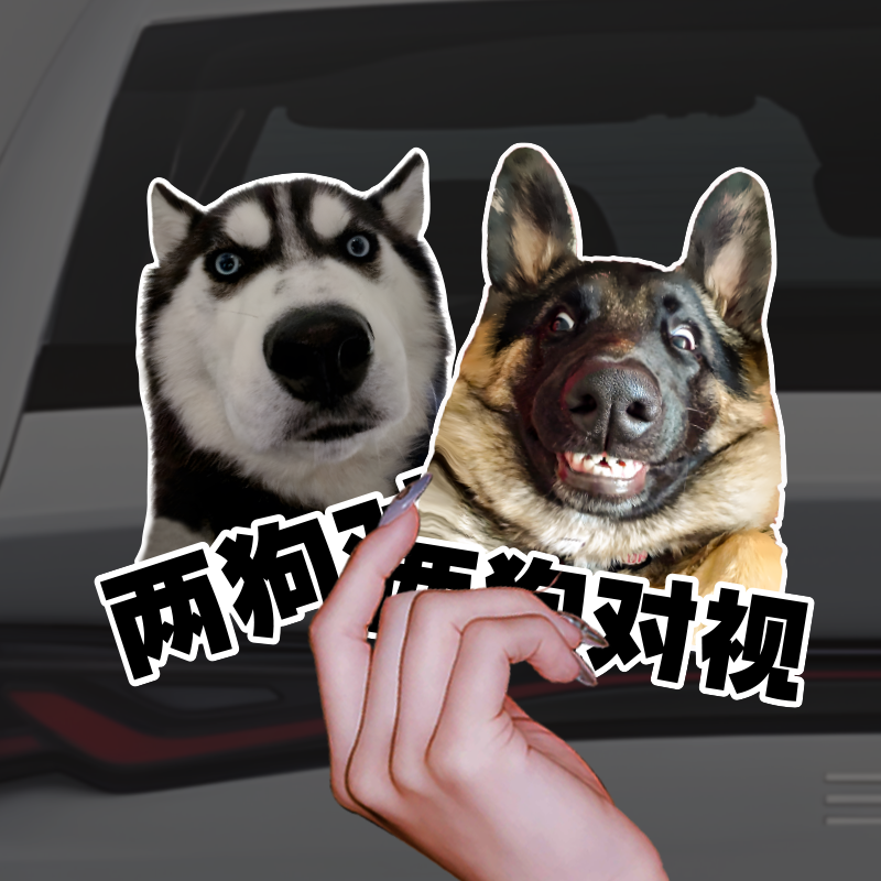 哈士奇表情两狗对视反光进口3M
