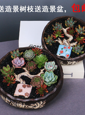 送造景树枝特大号创意多肉花盆粗陶瓷个性肉肉大口径盆器拼盆包邮